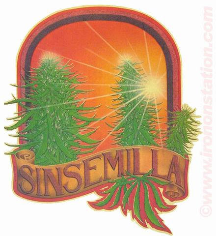 SINSEMILLA MARIJUANA Pot Buds Theme in glitter drugs 70s Vintage Iron On tee shirt transfer Original Authentic