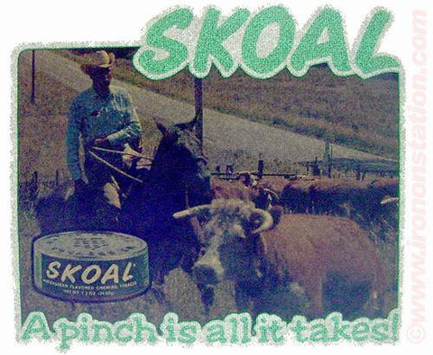 SKOAL COPENHAGEN "a pinch is all it takes" Tobacco 70s Vintage Iron On tee shirt transfer Original Authentic NOS in glitter