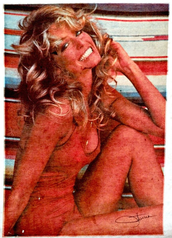 farrah fawcett, charlies angels, vintage t-shirt iron-on, celeb, hottie