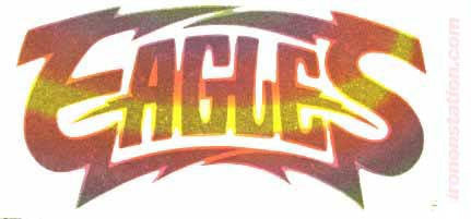 THE EAGLES 70s Vintage Band t shirt iron on retro rock James Gang Hotel California