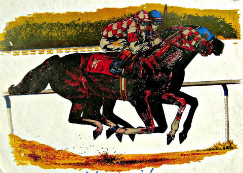 horse, track, racing, race, jockey, 70s, vintage, t-shirt, iron-on, derby, thoroughbred