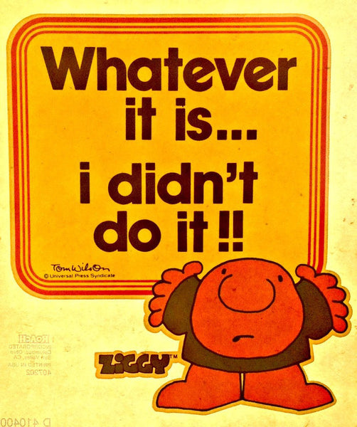 ZIGGY I DiDn'T Do IT Vintage 70s tshirt ironon transfer Original Aut