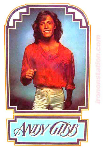 andy gibb, bee gees, vintage, 70s, t-shirt, iron-on, band tees,
