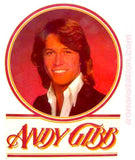 andy gibb, bee gees, vintage, t-shirt, iron-on, 70s, band tees, nos