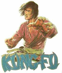 KUNG FU David Carradine 70s Vintage TV Iron On tee shirt transfer Original Authentic nos retro