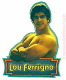 incredible, hulk, lou ferrigno, vintage, 70s, t-shirt, iron-on