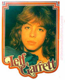 leif, garrett, 70s, vintage, t-shirt, iron-on