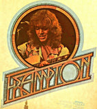 Young Peter Frampton 70s Vintage t-shirt iron-on transfer Original Authentic retro diy American Rock fashion in glitter