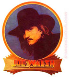 JOE WALSH Eagles Vintage 70s Rock Concert Iron On tee shirt transfer Original Authentic retro