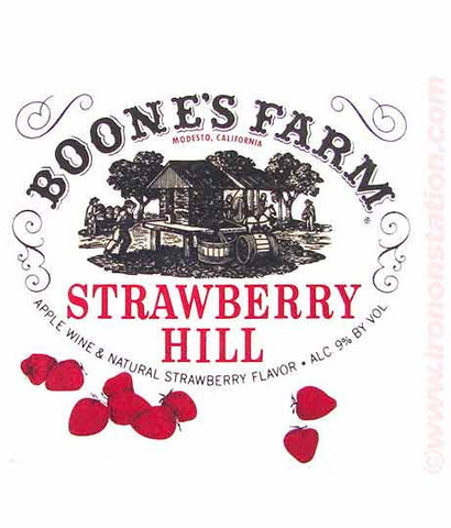 BOONE'S FARM Crash with Pride Strawberry Hill Vintage Iron On tee shirt transfer Original Authentic deadstock Nos 70s booze