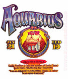 ASTROLOGY AQUARIUS Vintage 70s t-shirt iron-on retro zodiac tee shirt iron on transfer