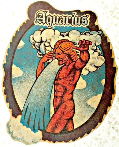 Vintage 70s AQUARIUS t-shirt iron-on Astrology retro zodiac tee shirt iron on transfer