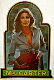 lynda carter, wonder woman, 70s, vintage, t-shirt, iron-on