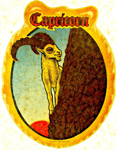 Vintage 70s CAPRICORN t-shirt iron-on Astrology retro zodiac tee shirt iron on transfer glitter