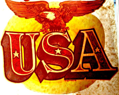 70s Vintage USA EAGLE American t-shirt iron-on transfer nos retro patriot loyalty