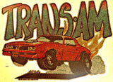 vintage, trans am, t-shirt, iron-on, diy, american fashion,