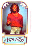 andy gibb, bee gees, vintage, 70s, t-shirt, iron-on, band tees, 