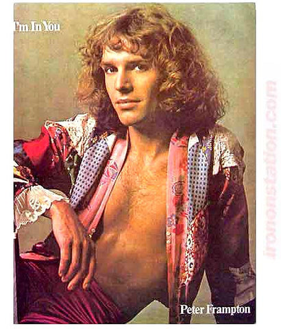 peter frampton, 70s, vintage, t-shirt, iron-on